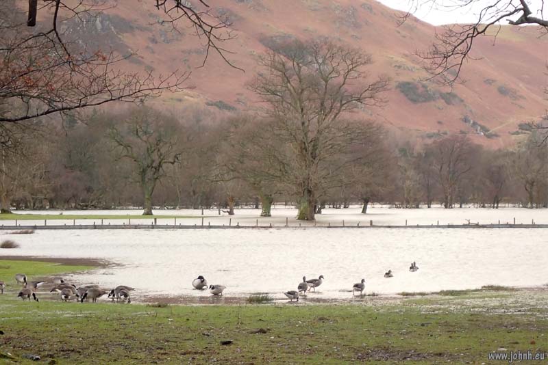 Derwent Water flood, Cumbria