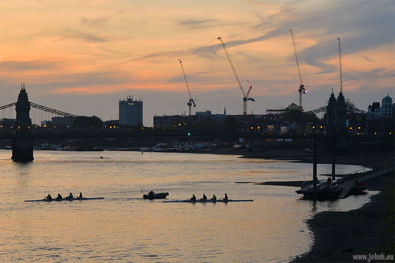 Rowers on the Thames at sunset at Hammersmith Reach