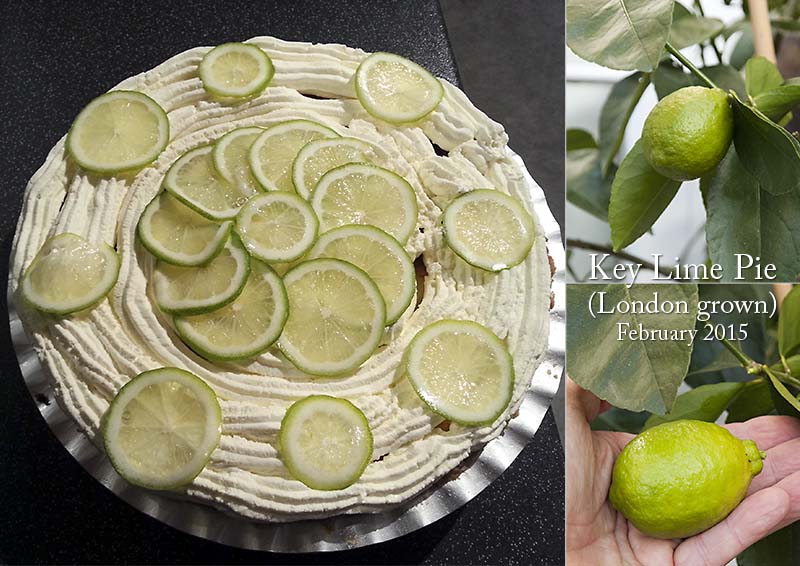 Key Lime pie, grown and cooked in the UK