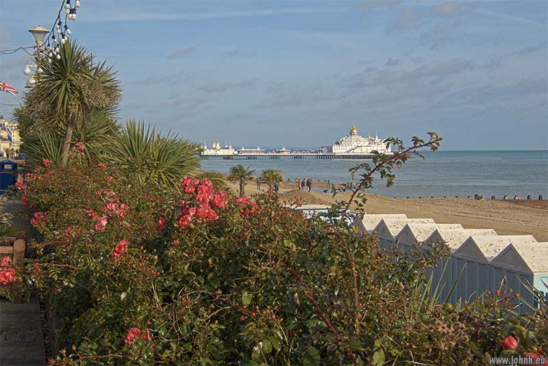 Roses and sub-tropical plants, Eastbourne