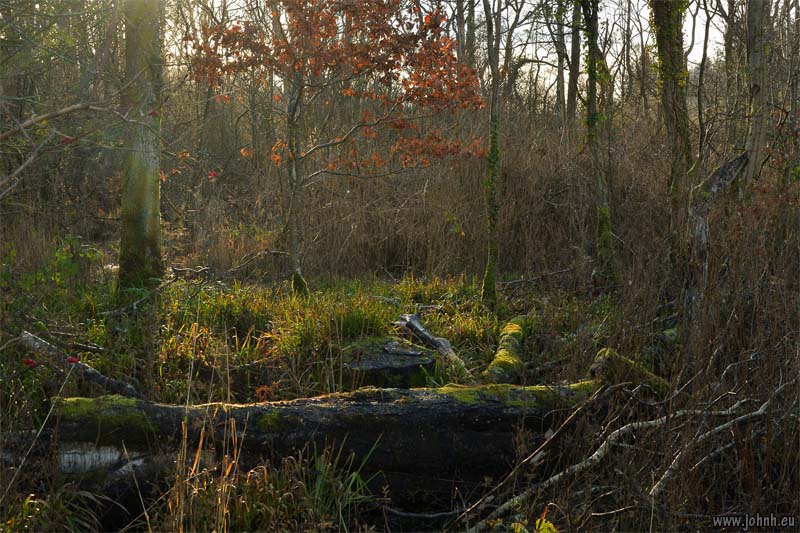 Around Keswick, Cumbria, Lake District National Park
