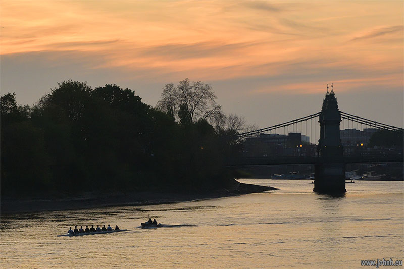 Rowers on the Thames at sunset at Hammersmith Reach