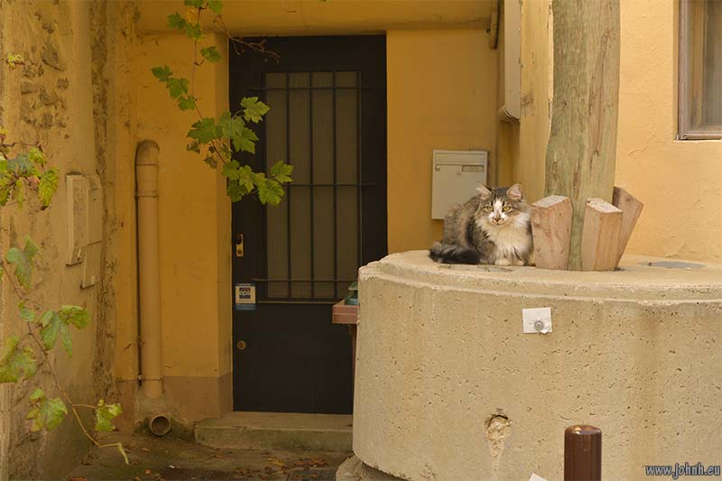 L’Isle sur la Sorgue