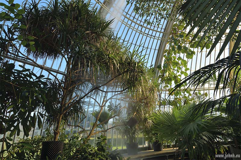 Palm House at Kew Gardens