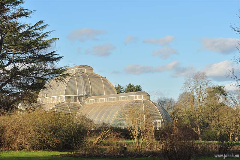 Palm House at Kew Gardens