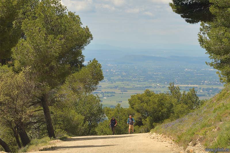 Dentelles de Montmirail 