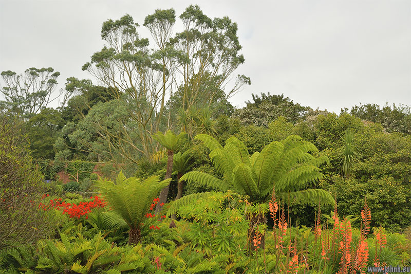 Logan Botanic Garden, Galloway