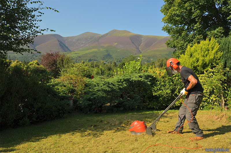 Keswick garden trimming