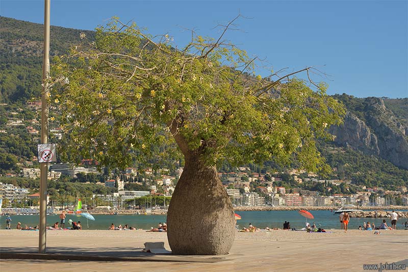 Côte d'Azur