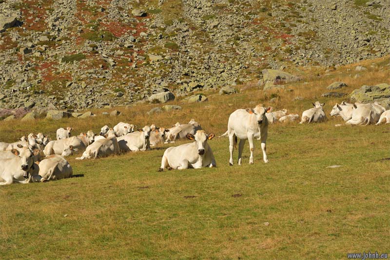 Parco nazionale del Monviso