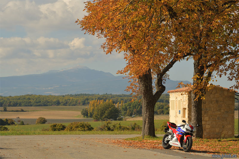 Riding in classic Provence