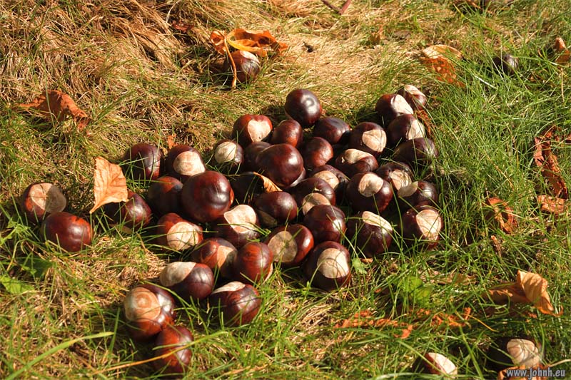 Riding in classic Provence
