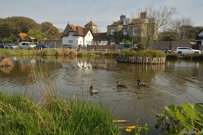 Rottingdean Duck Pond