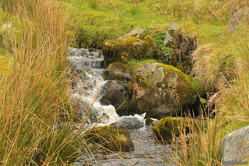Worm Gill Valley
