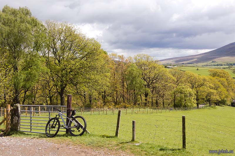 Brundholme Wood - Lake District National Park