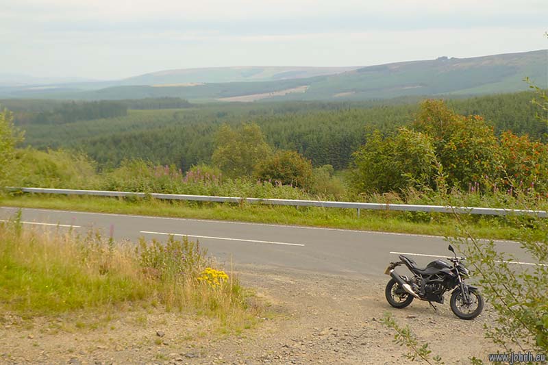 Kielder Forest