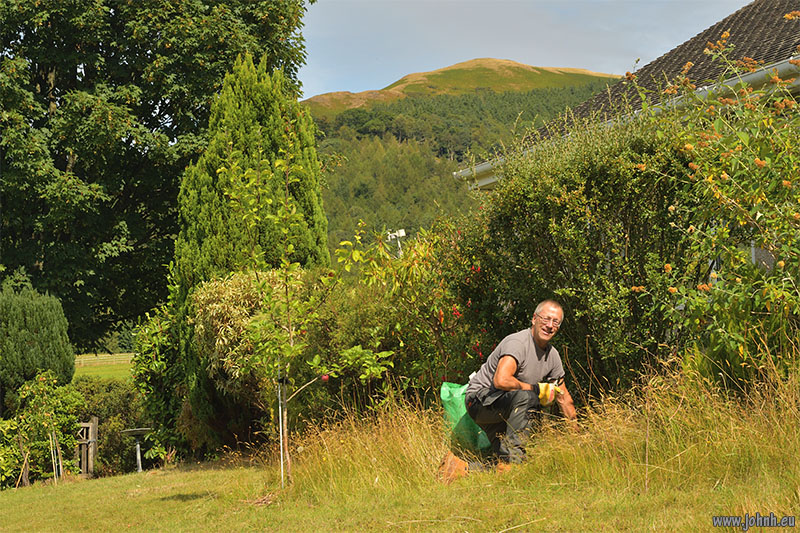 Weeding in my Keswick garden