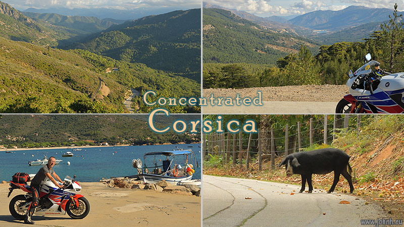 Concentrated Corsica postcard
